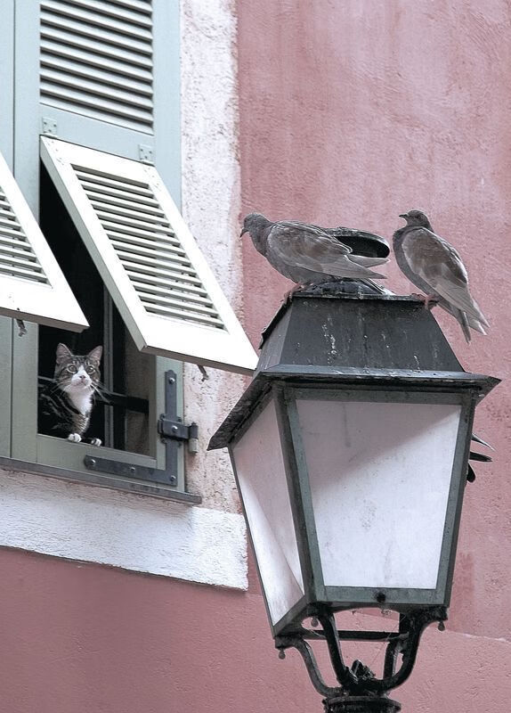 蓝白对决，杜兰特在时间夹缝中投出掌控