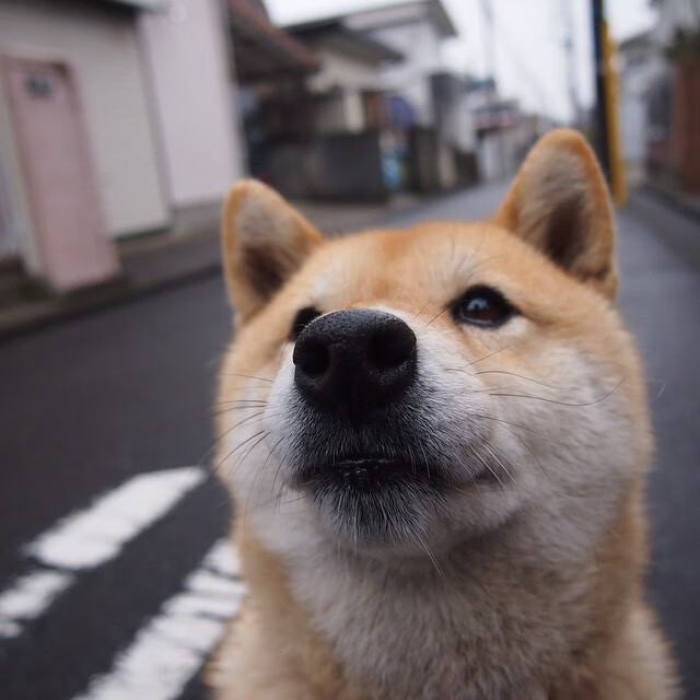跨越大洋的冰与火之歌,吉林队逆天改命的奇幻一战