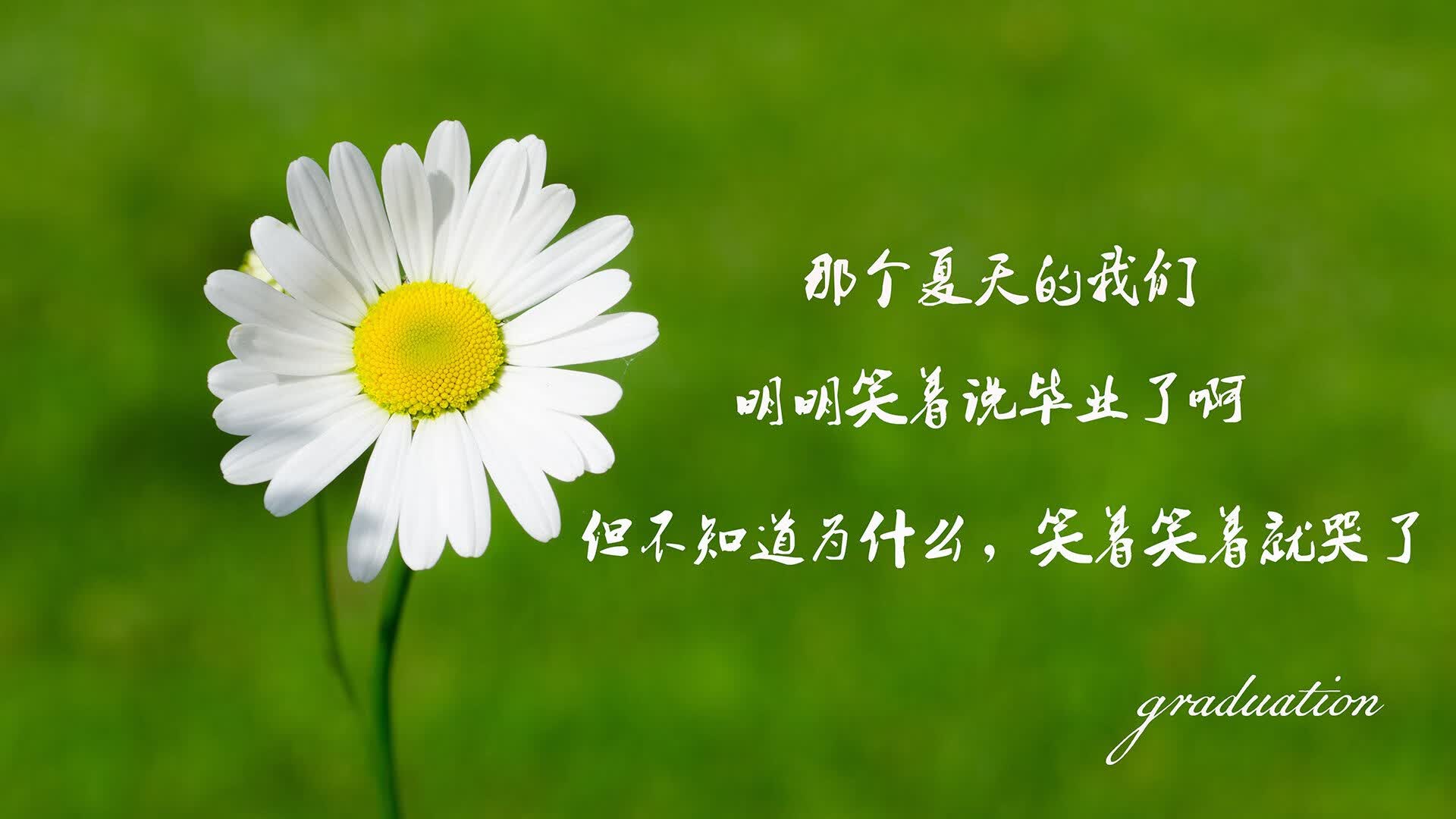 沙漠中的绿茵复仇,2026世界杯,巴西用犀利进攻碾碎阿联酋,卢卡库完成致命一击